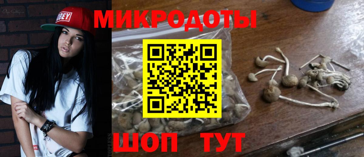 Выкса  Галлюциногенные грибы Psilocybe  Вход с VPN 